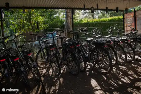 Op het park & de natuur in