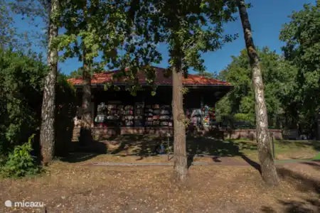 Op het park & de natuur in