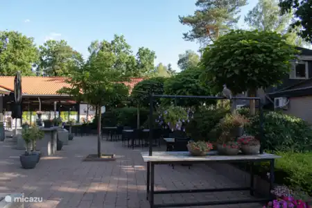 Op het park & de natuur in