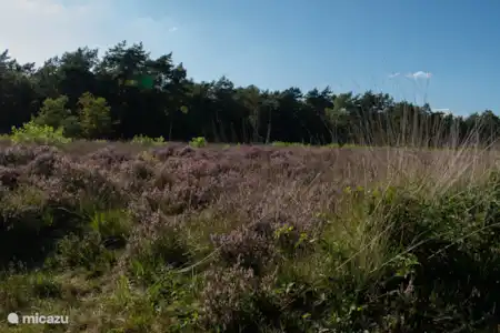 Op het park & de natuur in