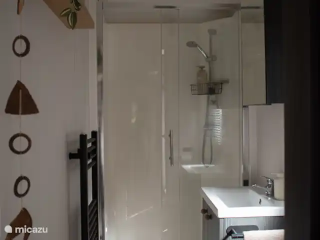 Nido de 't Veluws - Hoenderloo  en Países Bajos, Güeldres, Hoenderloo - chalet baño