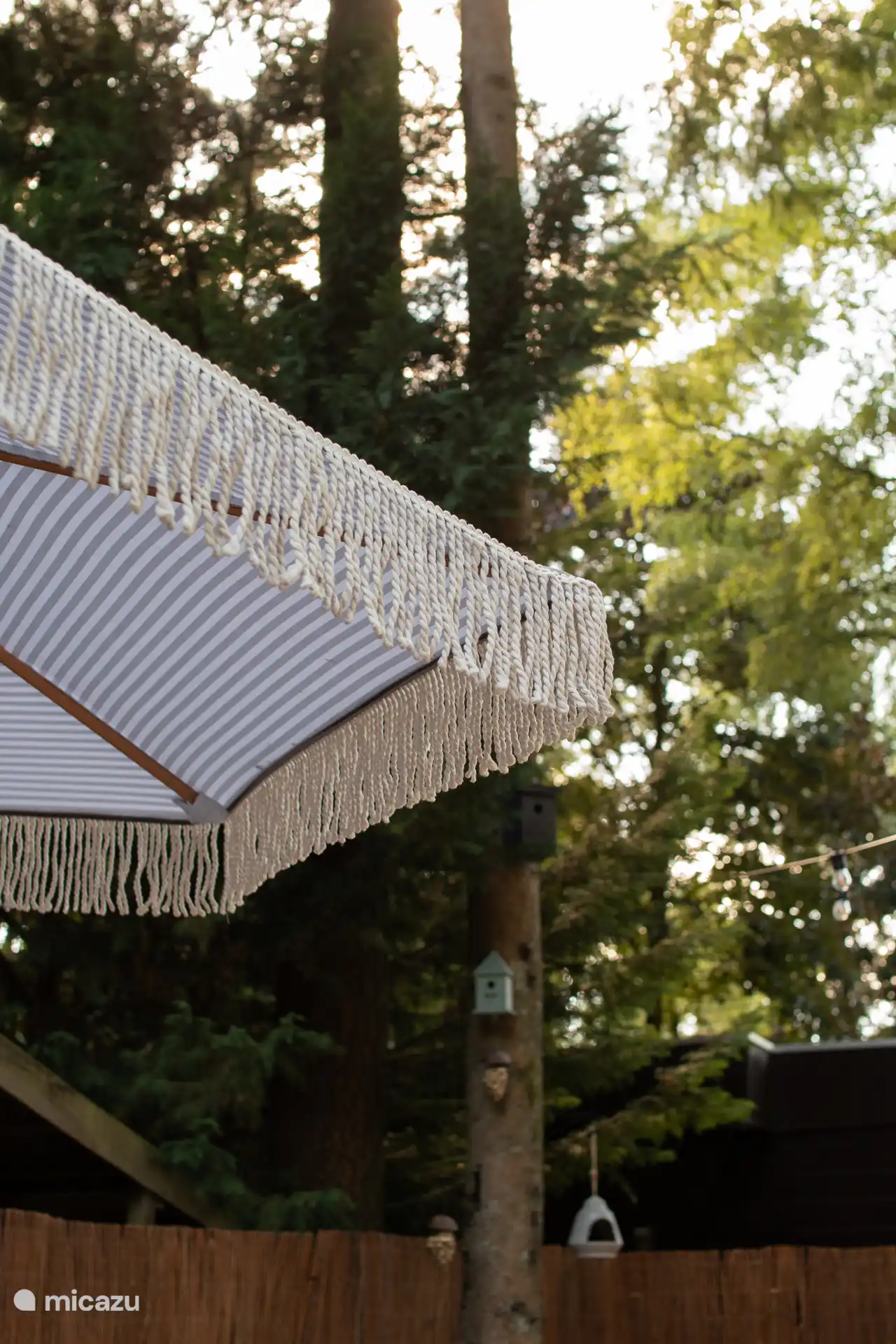 Parasol in zonnige tuin