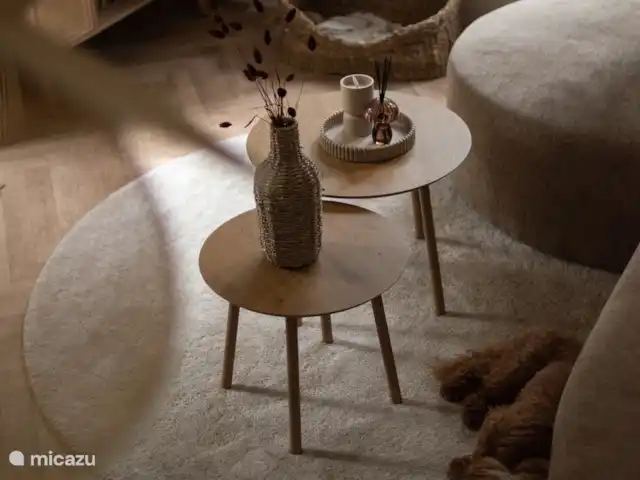 Nido de 't Veluws - Hoenderloo  en Países Bajos, Güeldres, Hoenderloo - chalet Salón