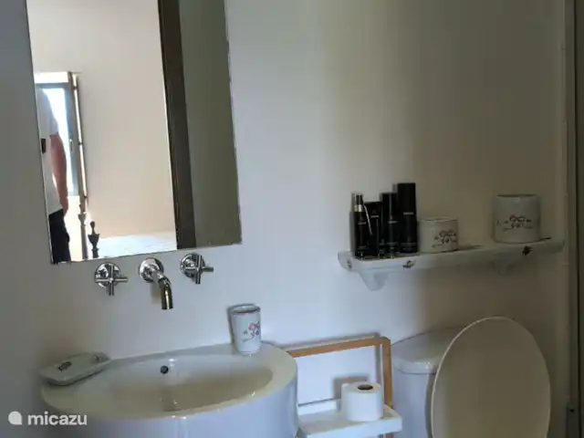 Location de Vacances Portugal, Viana do Castelo, Paredes de Coura, maison de vacances - Villa avec piscine privée  Salle de bain chambre principale
