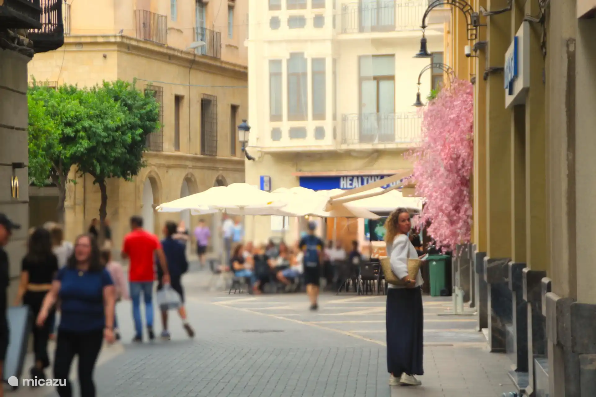 Murcia betovert met zijn historische charme, kleurrijke tuinen en sfeervolle pleinen. Perfect voor wie houdt van cultuur, lekker eten en nostalgische stadswandelingen.