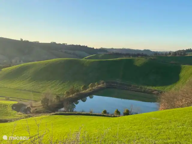 Villa Belvedere huren in Italië, Toscane, Certaldo - villa Villa Belvedere