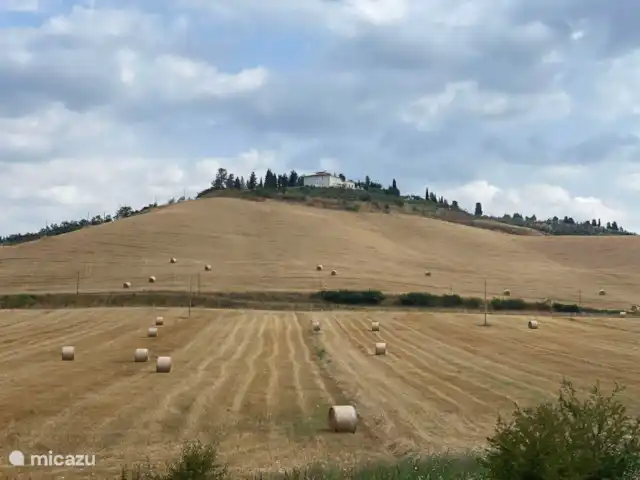 Villa Belvedere huren in Italië, Toscane, Certaldo - villa Villa Belvedere