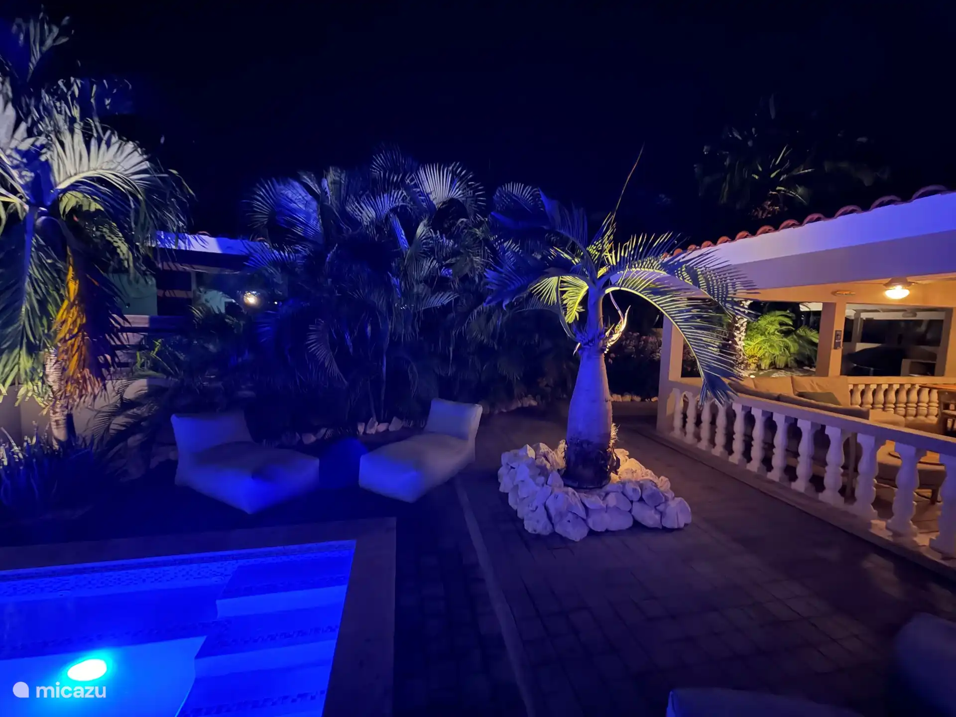 Noche en el jardín