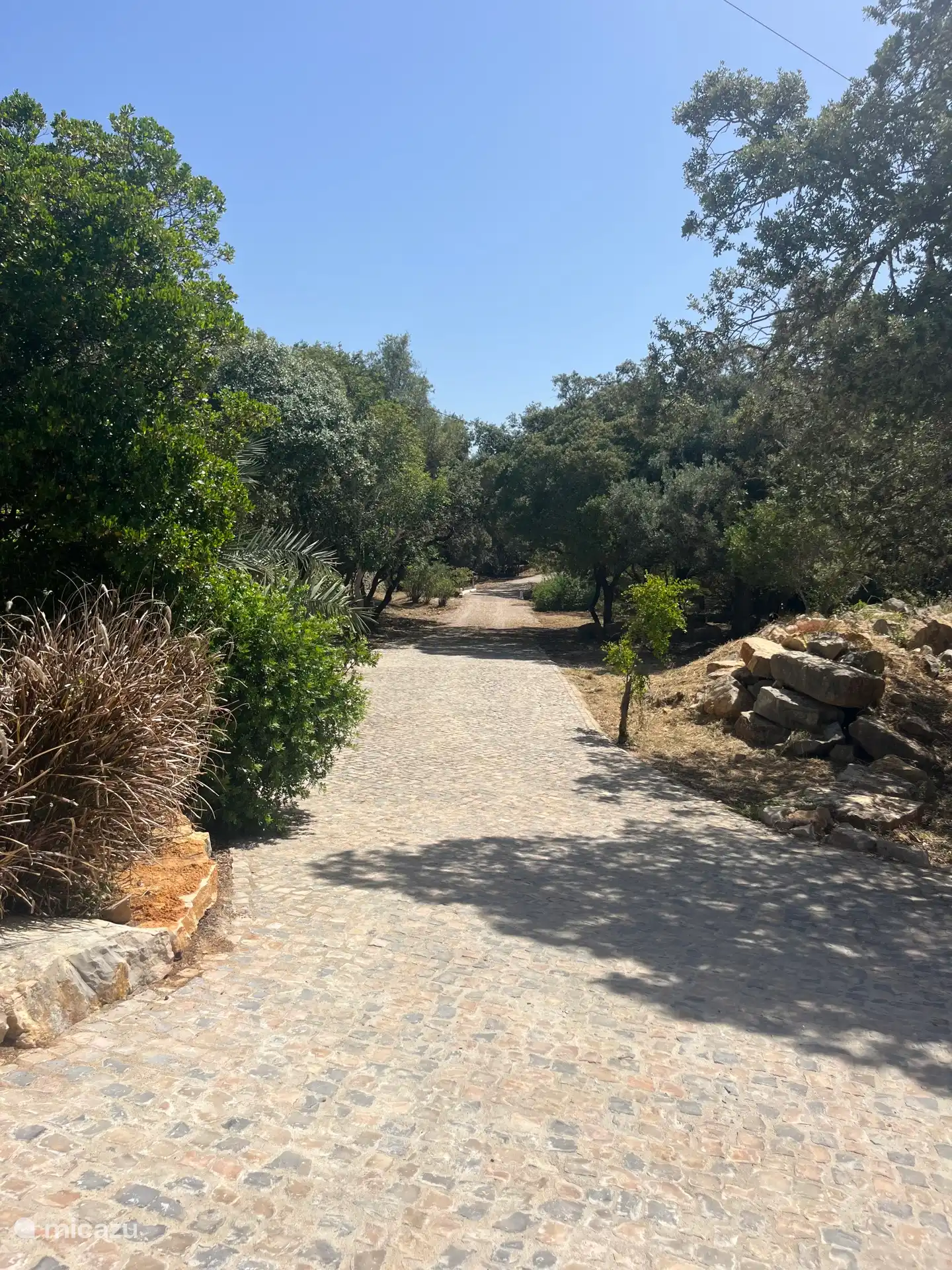 El camino de entrada da una rica sensación cuando llegas porque la casa no se puede ver desde la carretera principal.