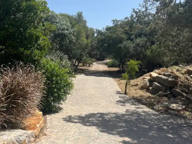 Casa da Madeira | Portugal, Algarve, Loulé - villa L’allée donne un sentiment de richesse lorsque vous arrivez car la maison n’est pas visible de la route principale.