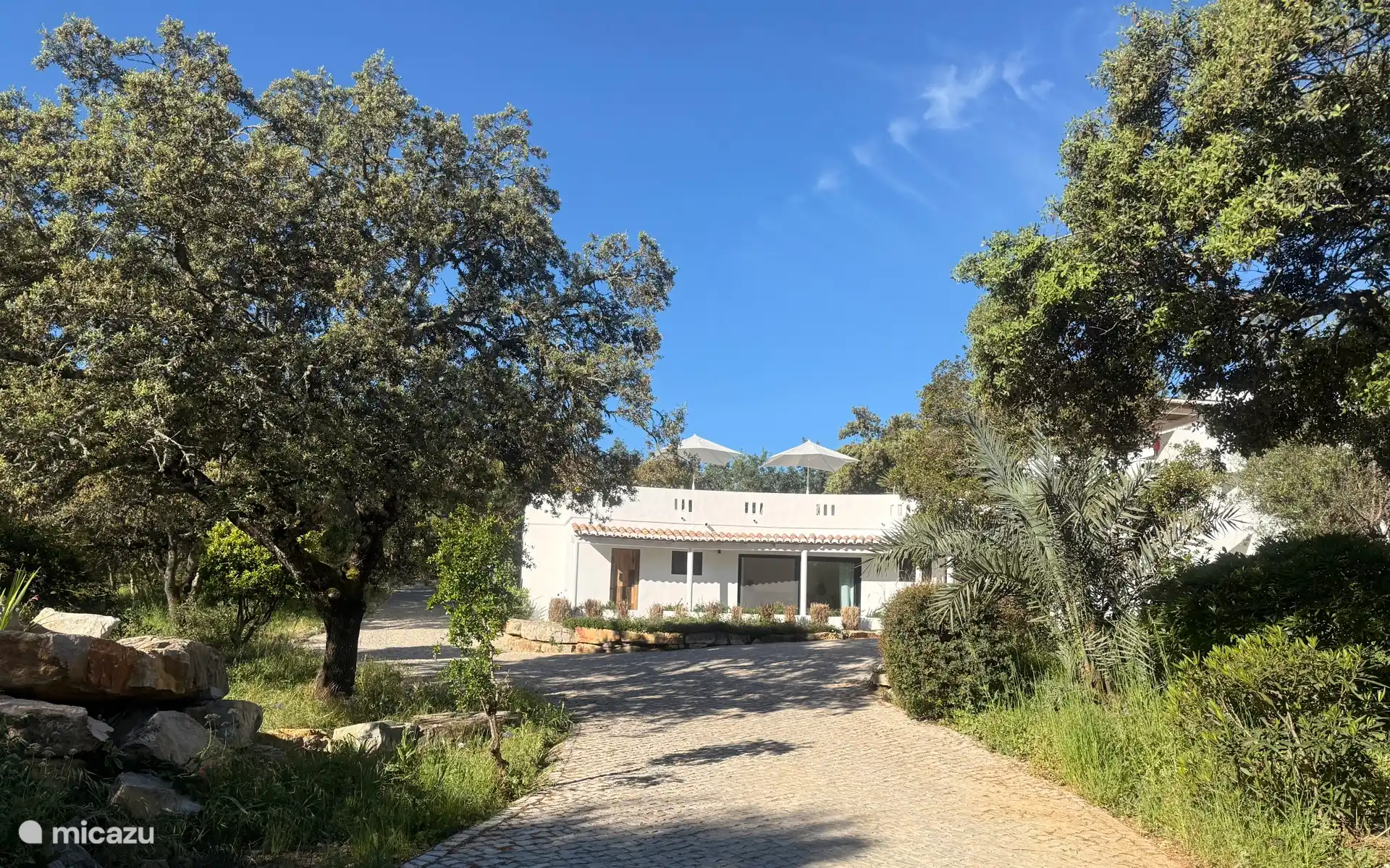 Vanuit de oprijlaan zie je ineens het huis opdoen, een plaatje!