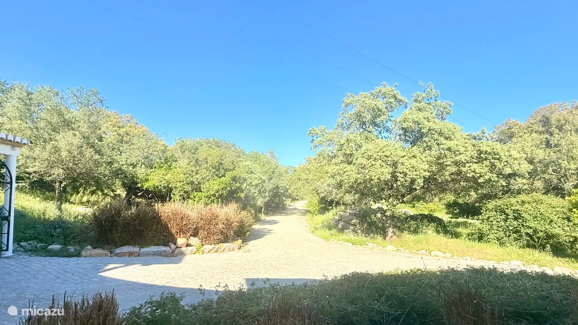 Vanuit de 2e slaapkamer heb je dit uitzicht! De oprijlaan is dwars door het landelijke deel van ons terrein.