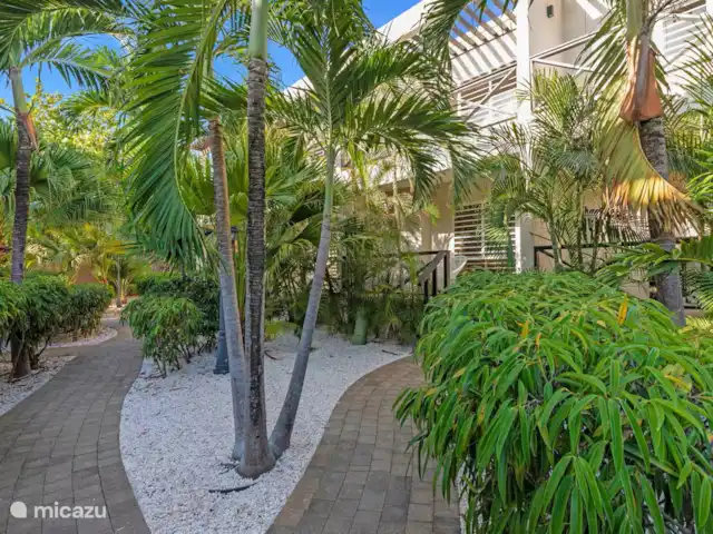 Blenchi Apartments Curazao en Curazao, Curazao Centro, Saliña - casa vacacional