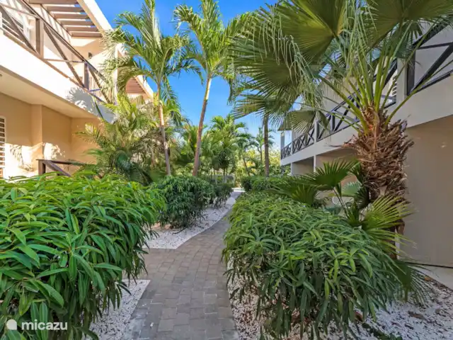 Blenchi Apartments Curazao en Curazao, Curazao Centro, Saliña - casa vacacional