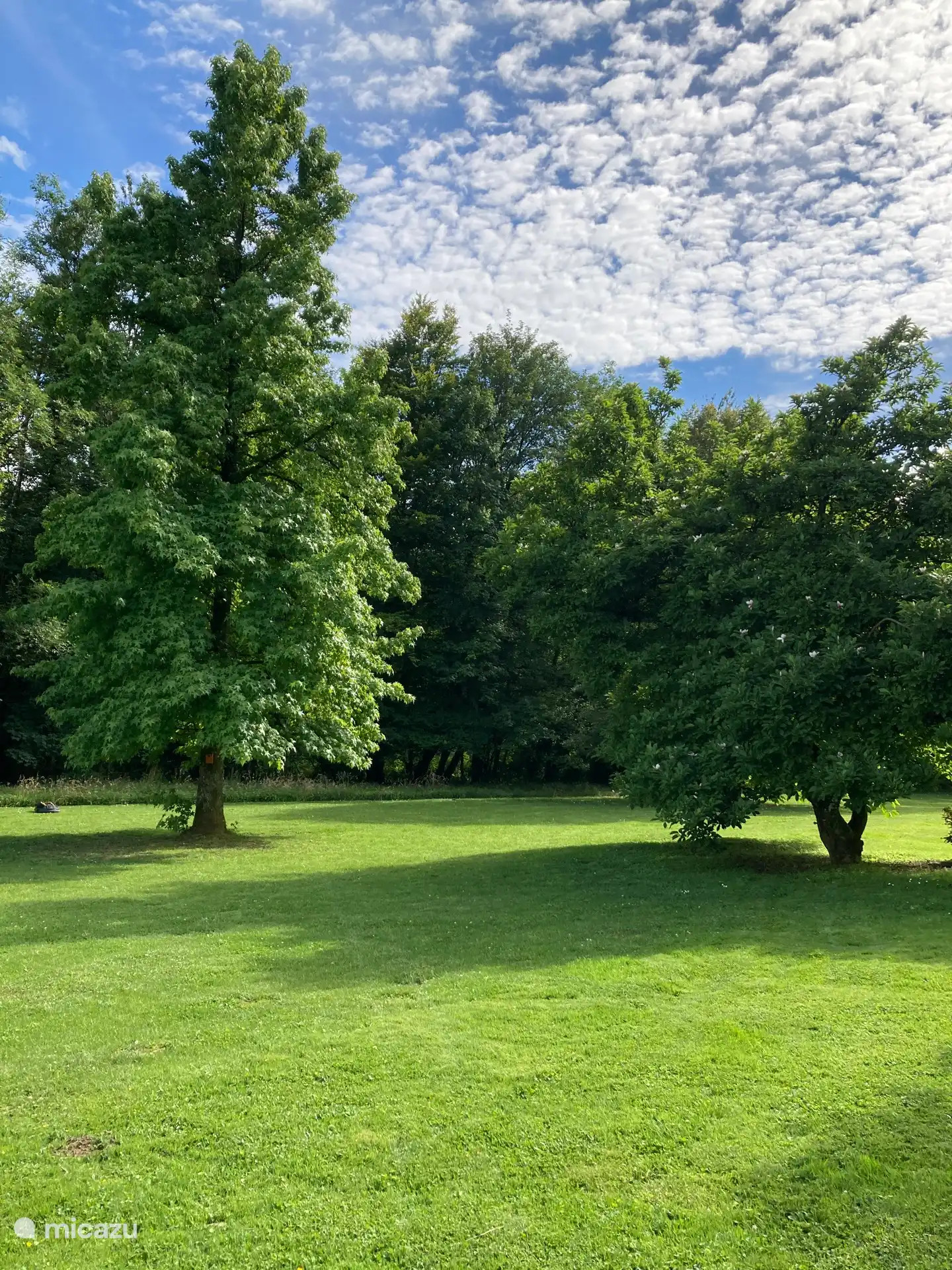 Un rincón del jardín