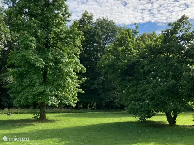 Het vogelgebied huren in België, Ardennen, Bouillon - Gîte / Cottage Het vogelgebied huren in België, Ardennen, Bouillon - Gîte / Cottage
