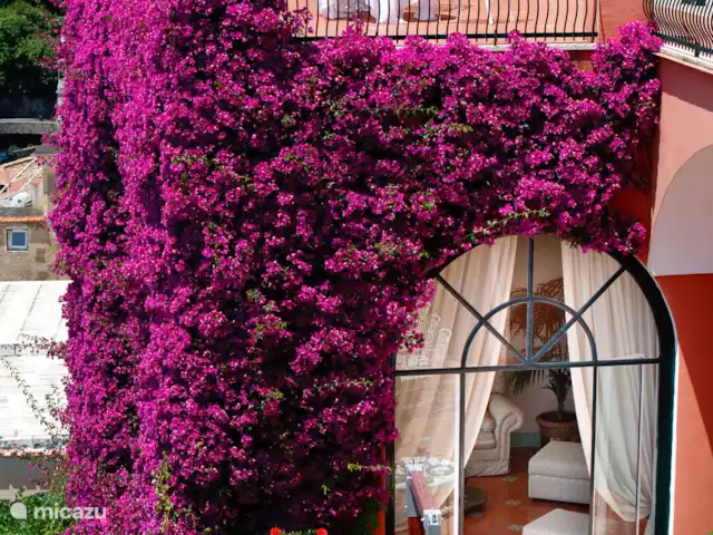 Villa Incanto huren in Italië, Campanië, Amalfi - villa Villa Incanto