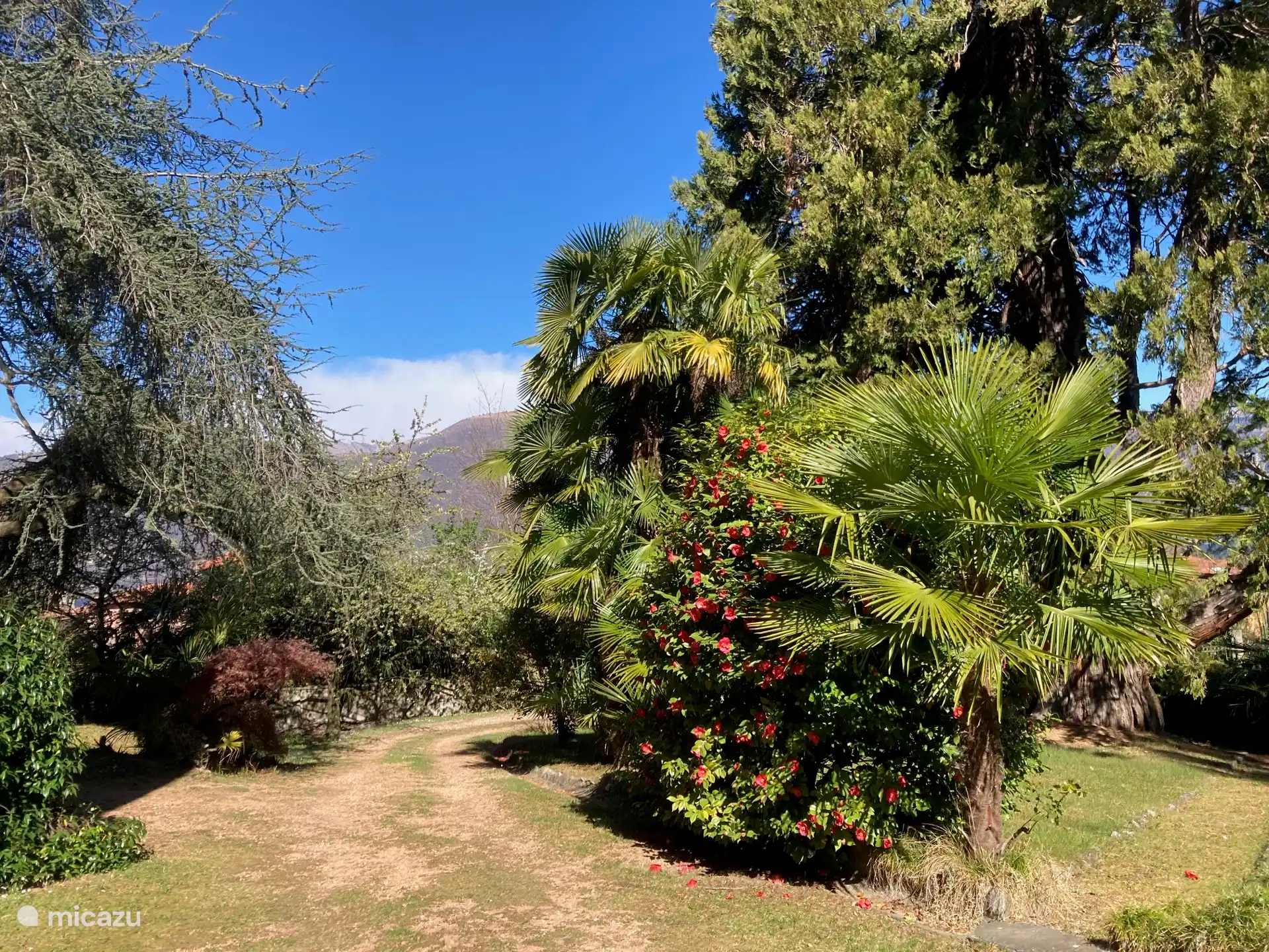 Die Einfahrt und der Garten