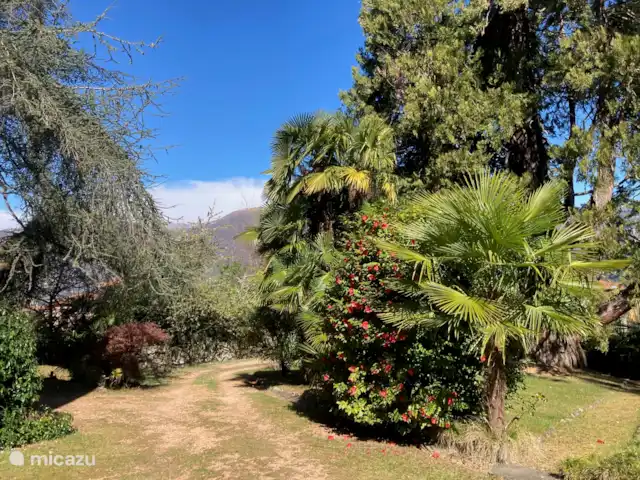 Villa Giulia Vista Verde | Italie, Lad Majeur, Porto Valtravaglia - villa L’allée et le jardin