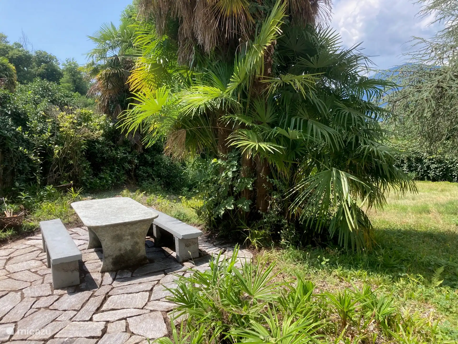 Picknicktisch und Bänke