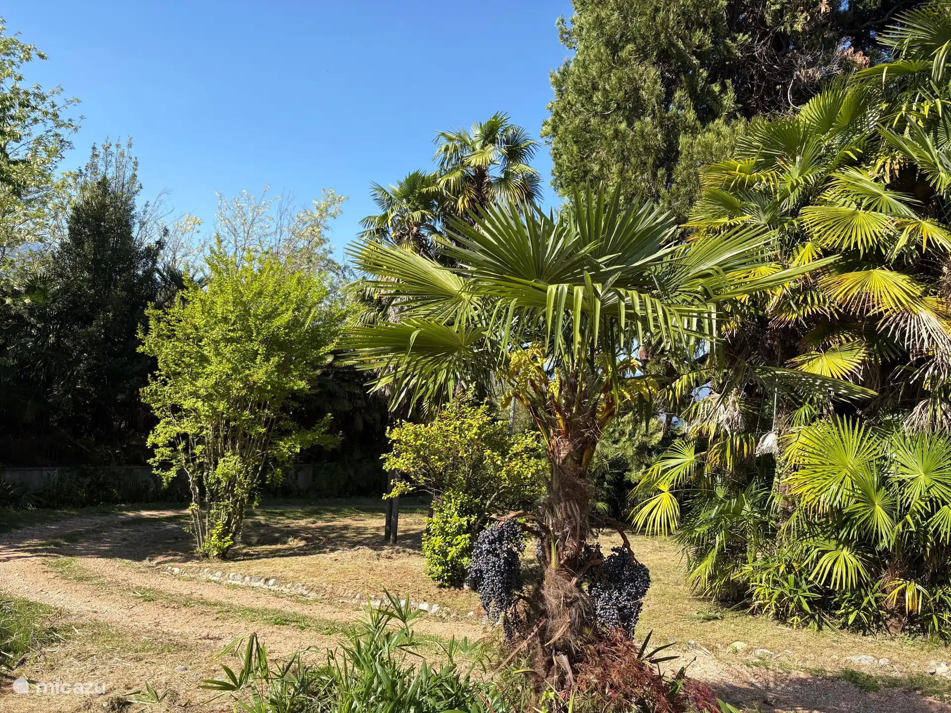 tuin en oprit 