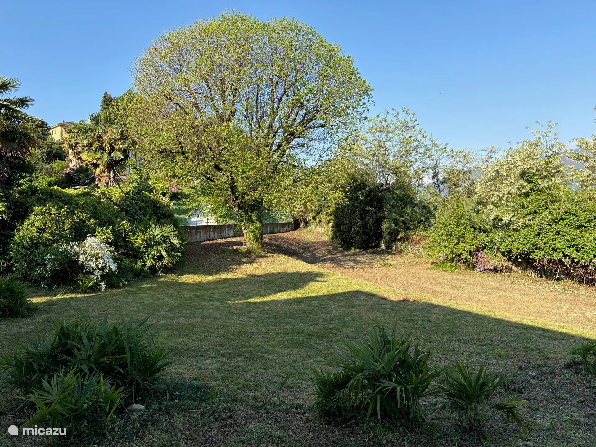 uitzicht op de tuin vanaf hetr terras