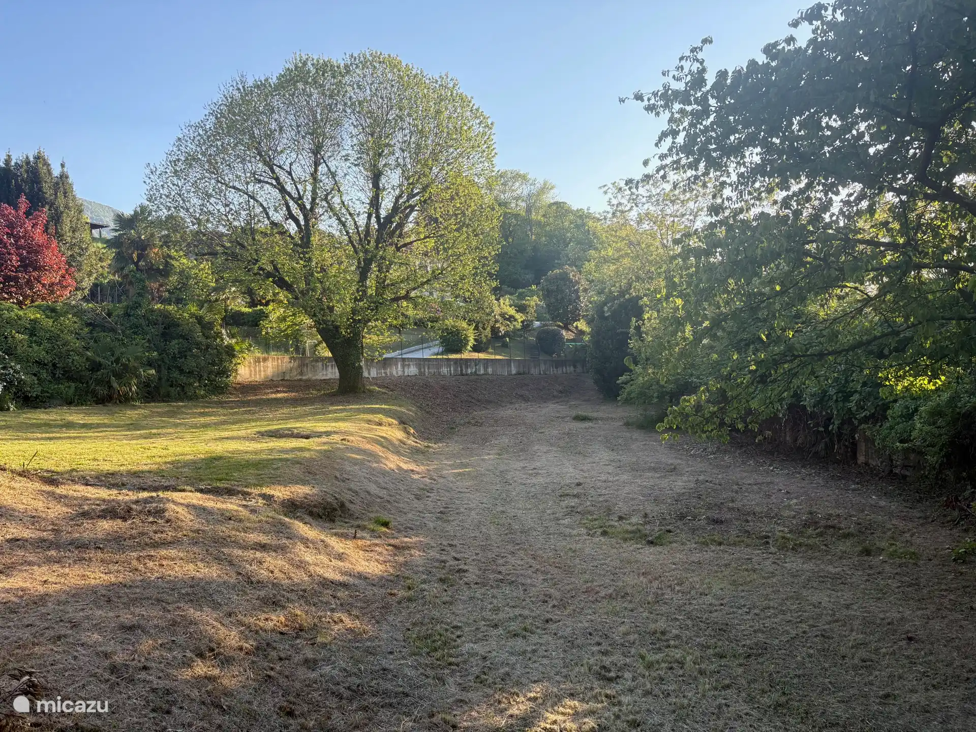 deel van de tuin aan de voorkant