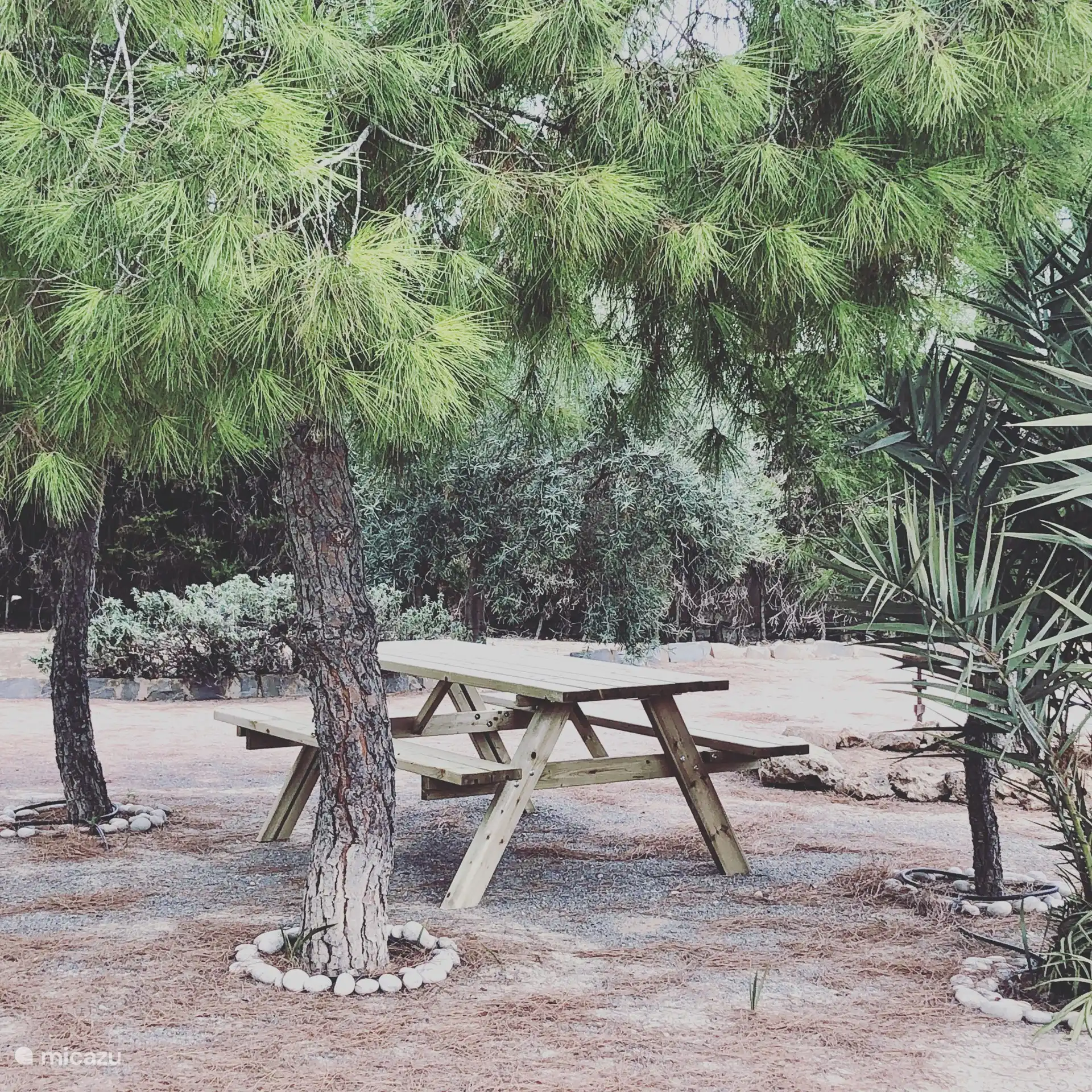 Vijver- en dennenbos. Naast de hoofdslaapkamer van de villa ligt de mediterrane tuin met dennenbomen en een vijver.