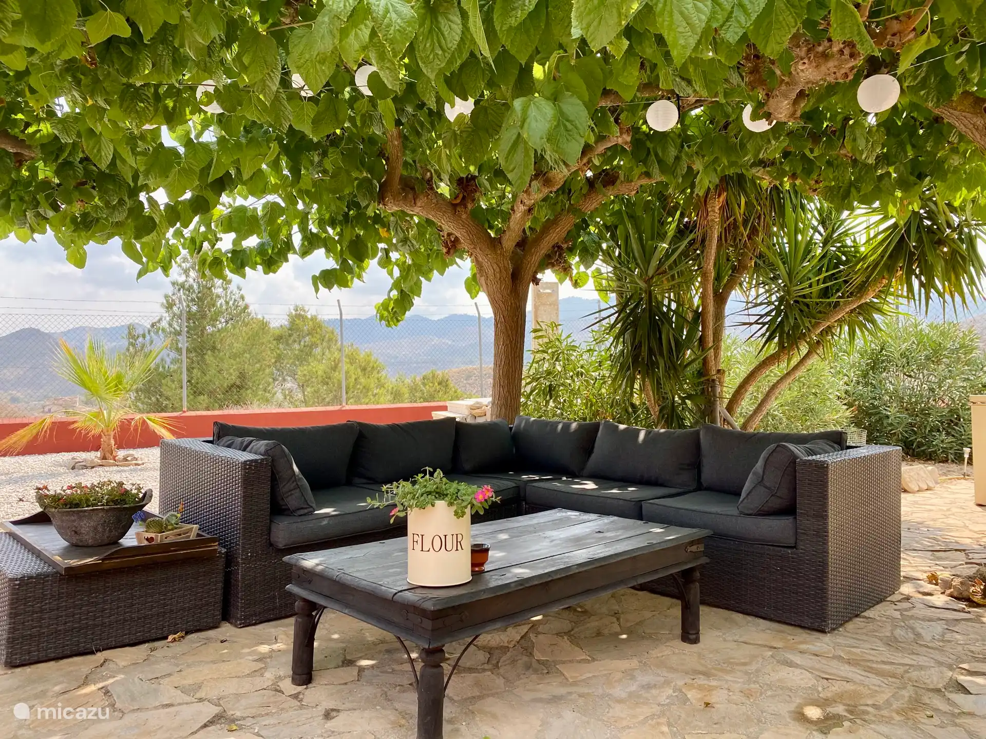 Faulenzen unter den Bäumen 