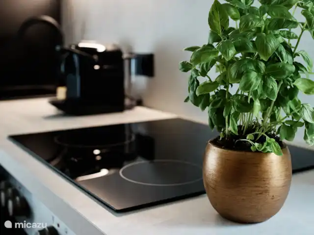 Villa Valérie Bad Gastein Appli 1 | Autriche, Salzburgerland, Bad Gastein - appartement Cuisine