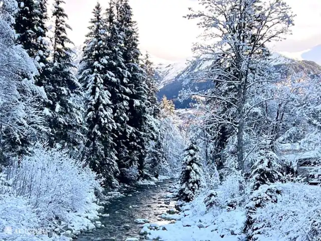 Villa Valérie Bad Gastein Appli 1 | Autriche, Salzburgerland, Bad Gastein - appartement Le ruisseau près de la maison