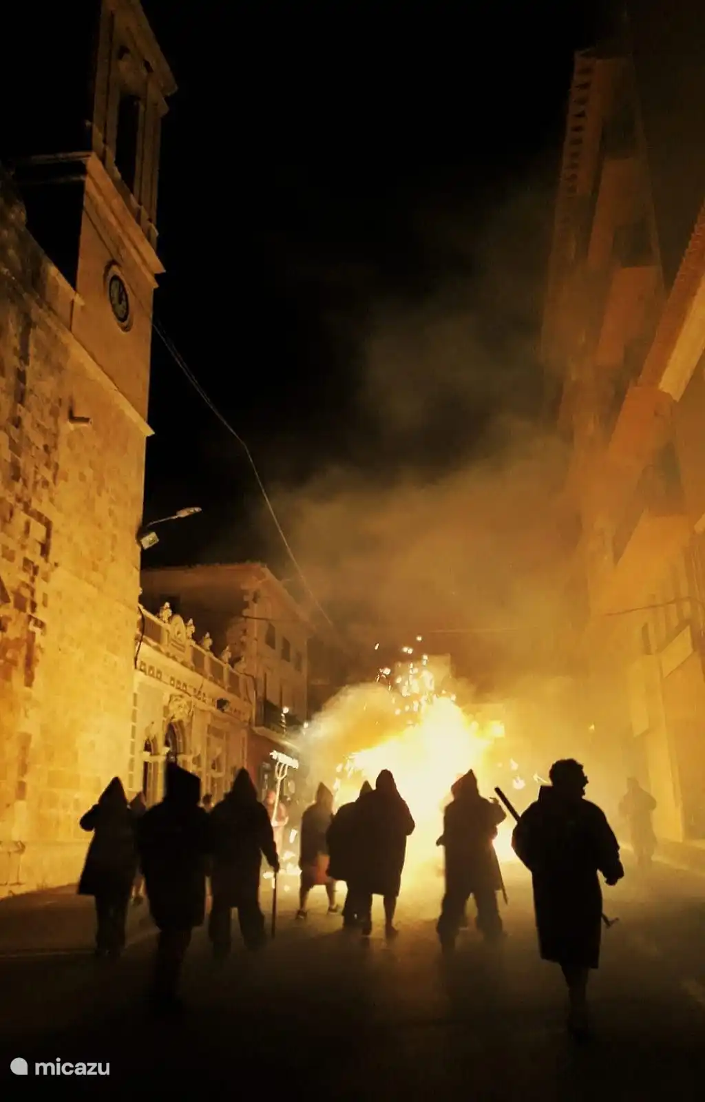 Fiesta de Sant Antoni - Januar