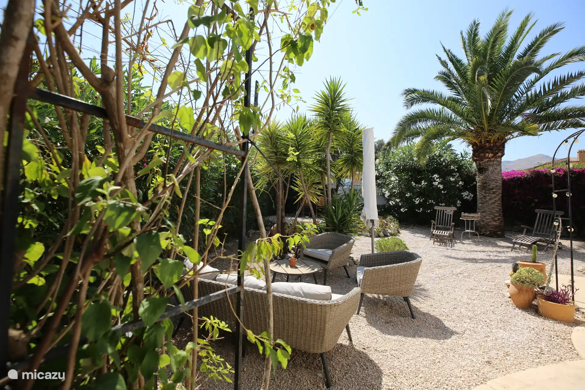 Garten an der Seite des Hauses mit Palme