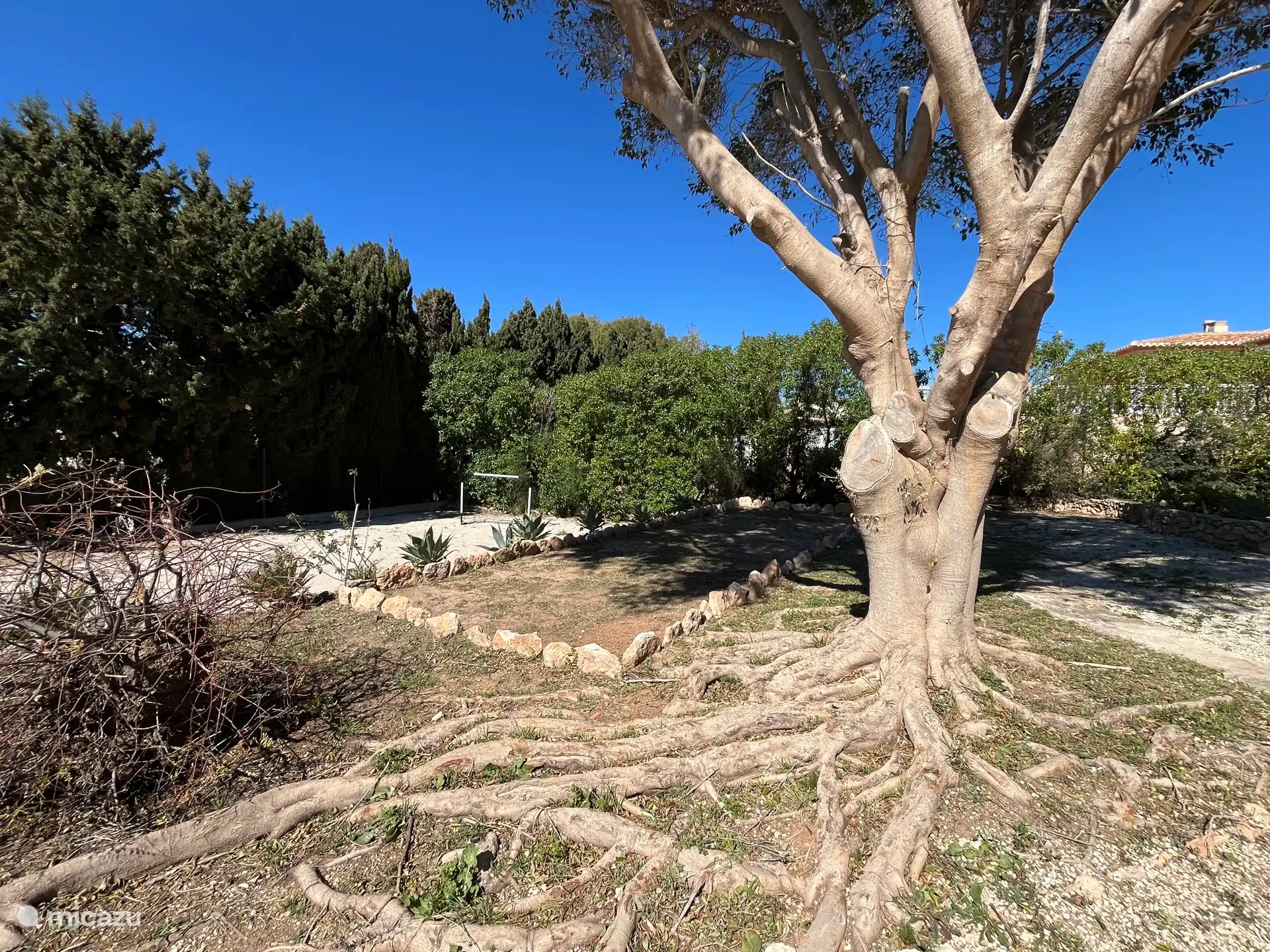 Volop ruimte om te spelen (jeux de boules, voetbal, badminton)