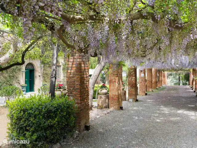 Villa Giovanni | Italie, Sicile, Capo d'Orlando - villa Villa Giovanni