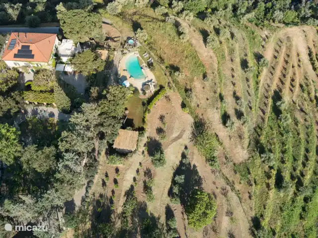 Villa Giovanni | Italie, Sicile, Capo d'Orlando - villa Villa Giovanni