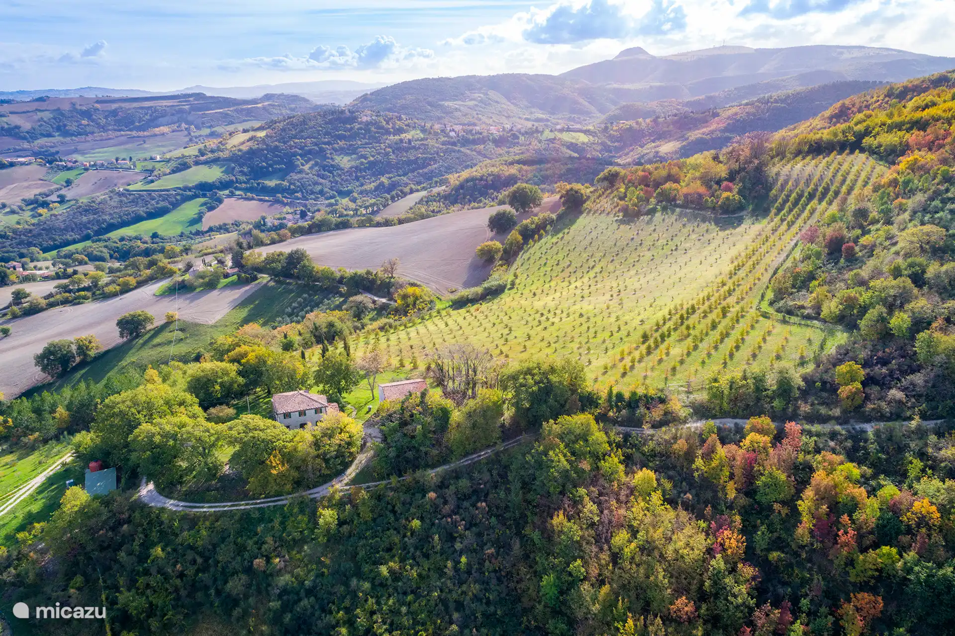 Anwesen im November, rechts Monte Murano, davor Trüffelfeld.