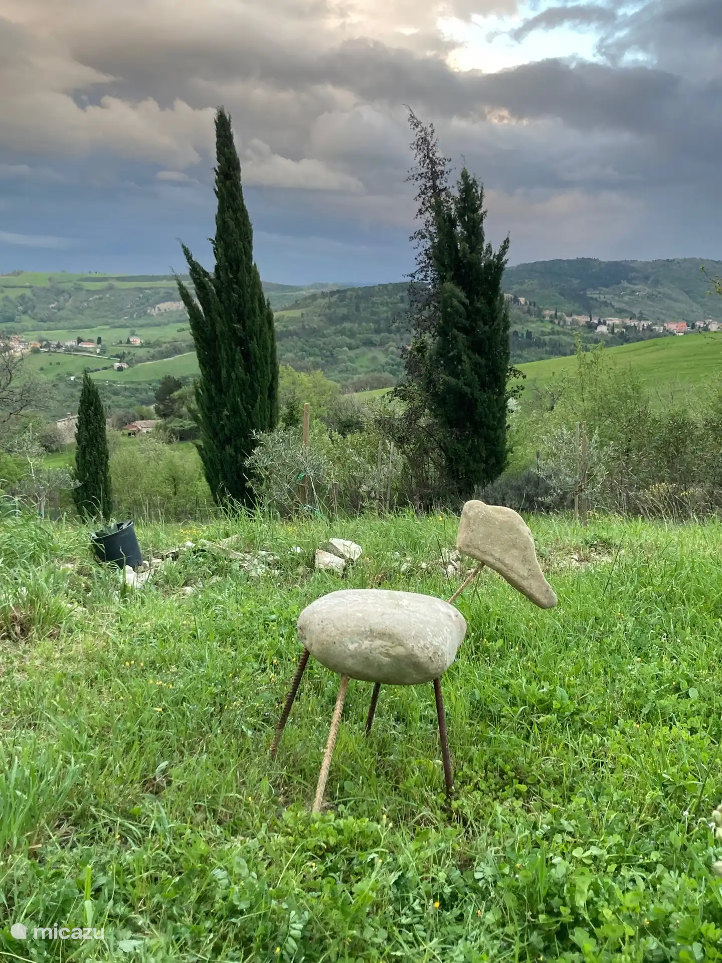 Pflegeleichtes Sitzschaf auf Natur-Terrasse 5, Blick nach Süden