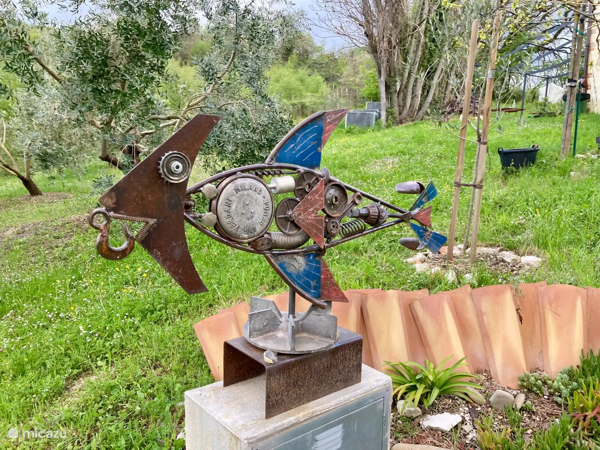 Fisch von Marco Cesandri
Foto vom Februar 