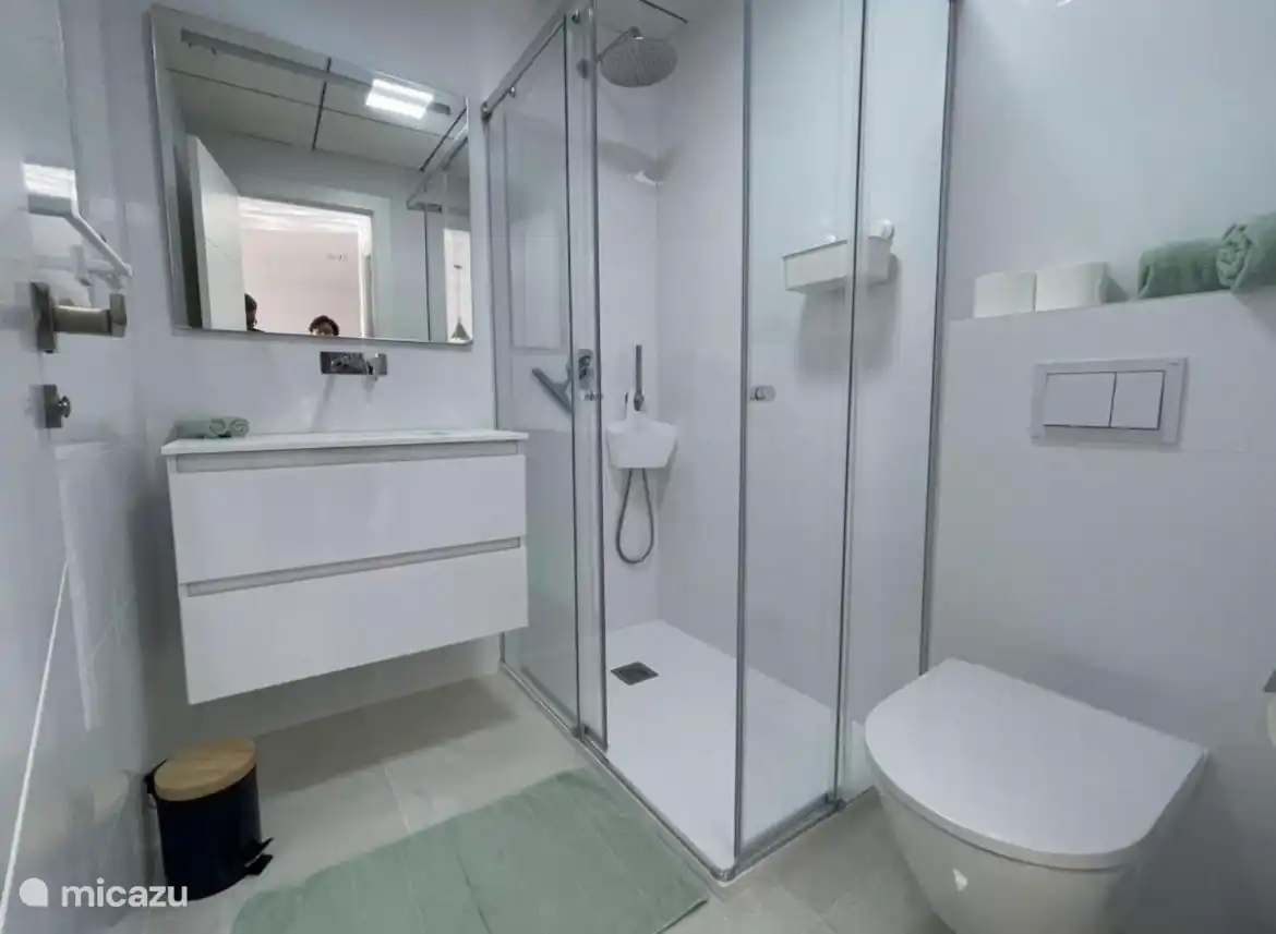 Badkamer 1 met regen en handdouche, toilette, wastafel met 2 laden deze badkamer is en suite