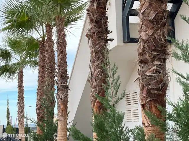 Ático Gloria con vistas al mar en España, Costa Cálida, Puerto de Mazarrón - penthouse Escaleras a 8ngang
