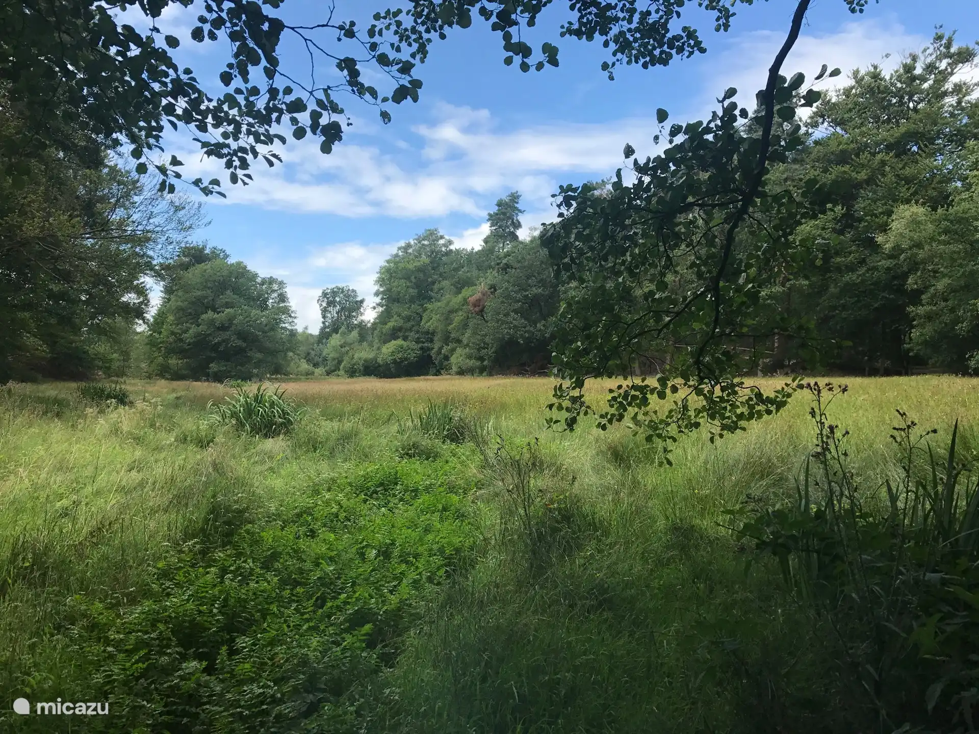 De natuur is hier fantastisch! Je kunt hier volop fietsen en wandelen!