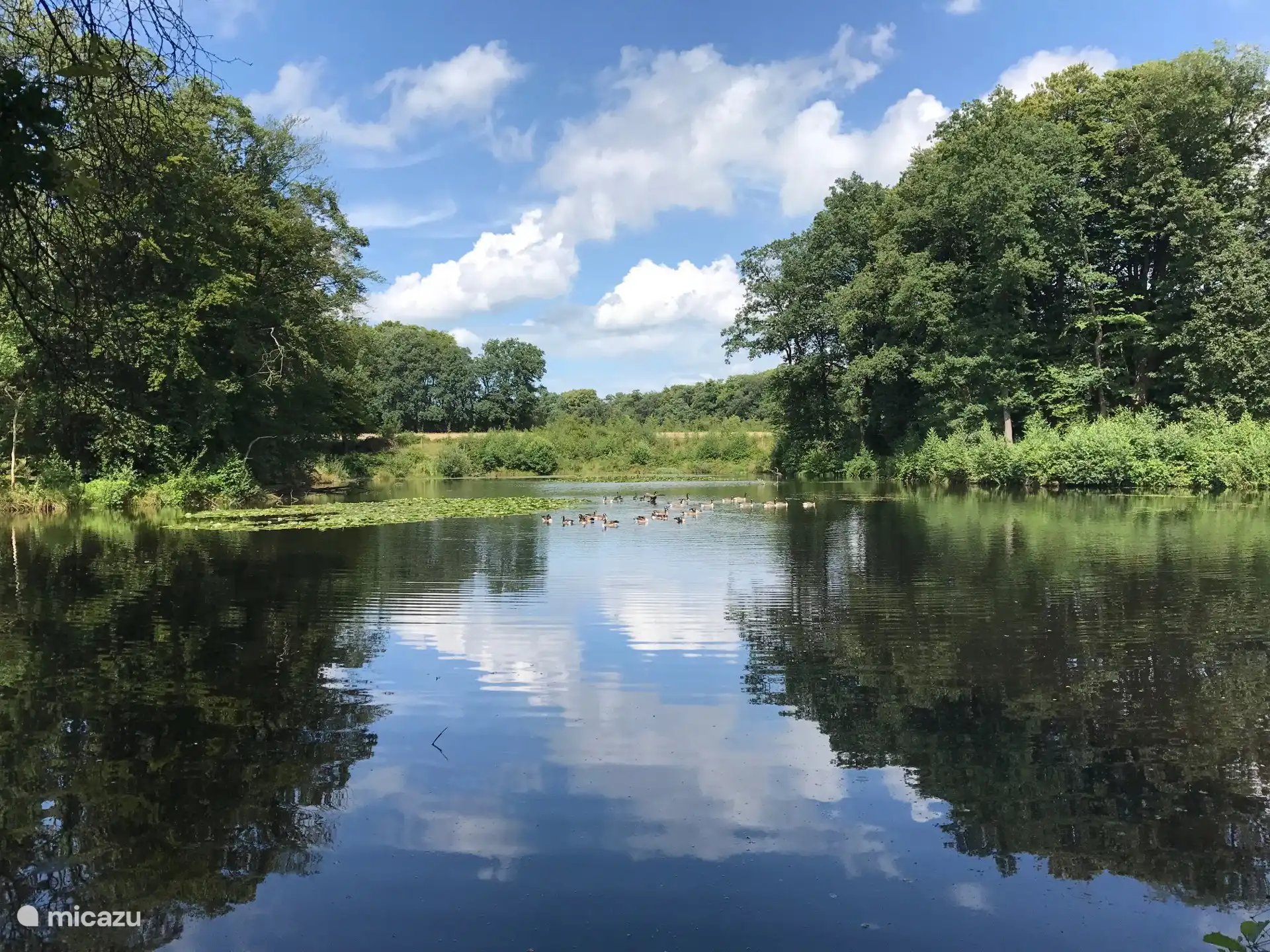 Zen momentjes bij de Bronnen op het Springendal!