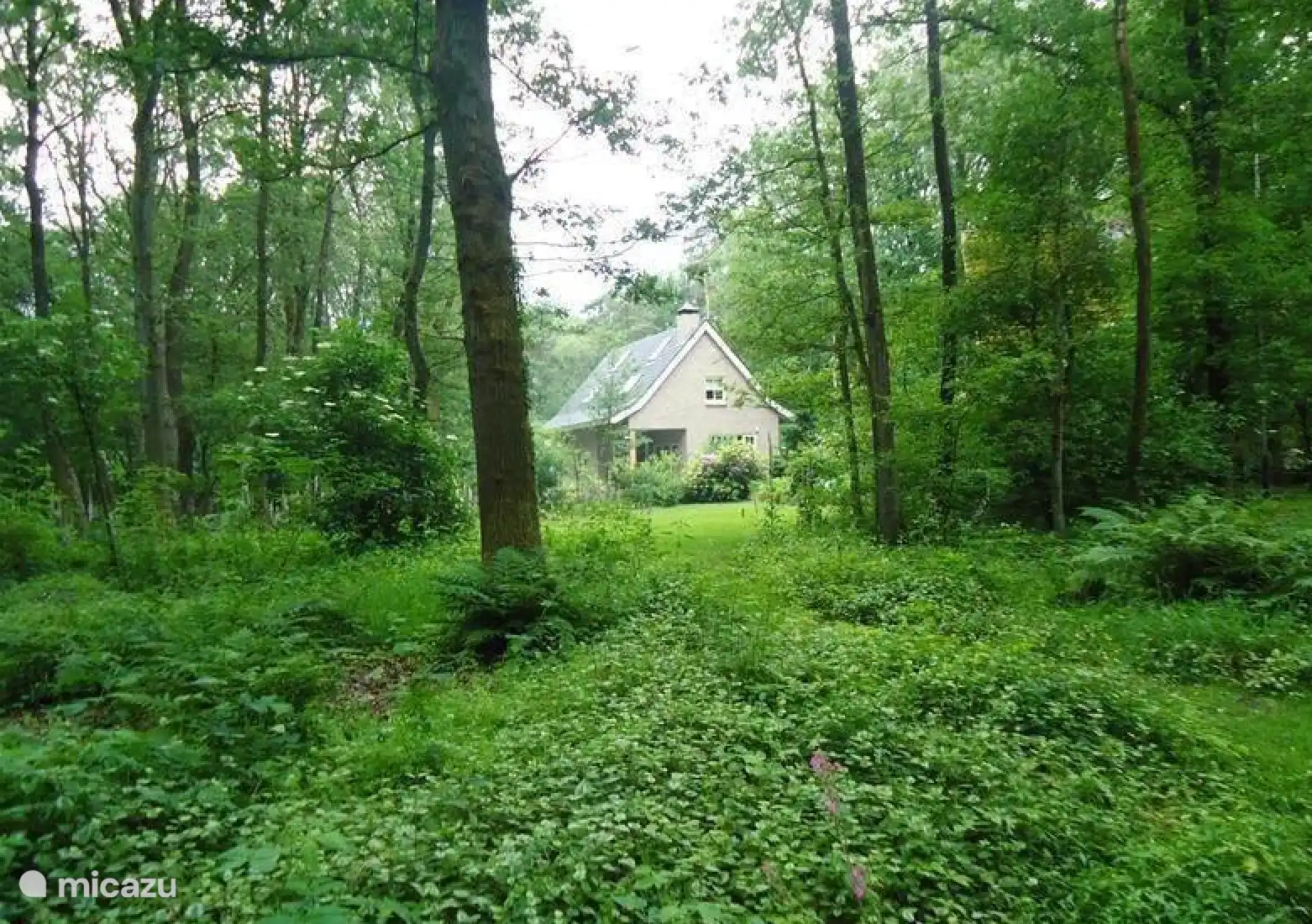 vakantiehuis huren in Ootmarsum, Overijssel, Nederland - Bosvilla Zommerloof