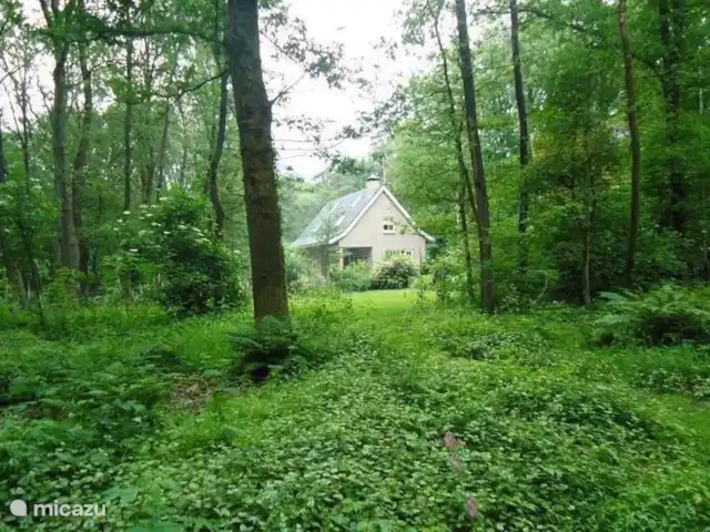 Villa dans la forêt de Zommerloof | Pays-Bas, Overijssel, Nutter - maison de vacances Villa dans la forêt de Zommerloof | Pays-Bas, Overijssel, Nutter - maison de vacances