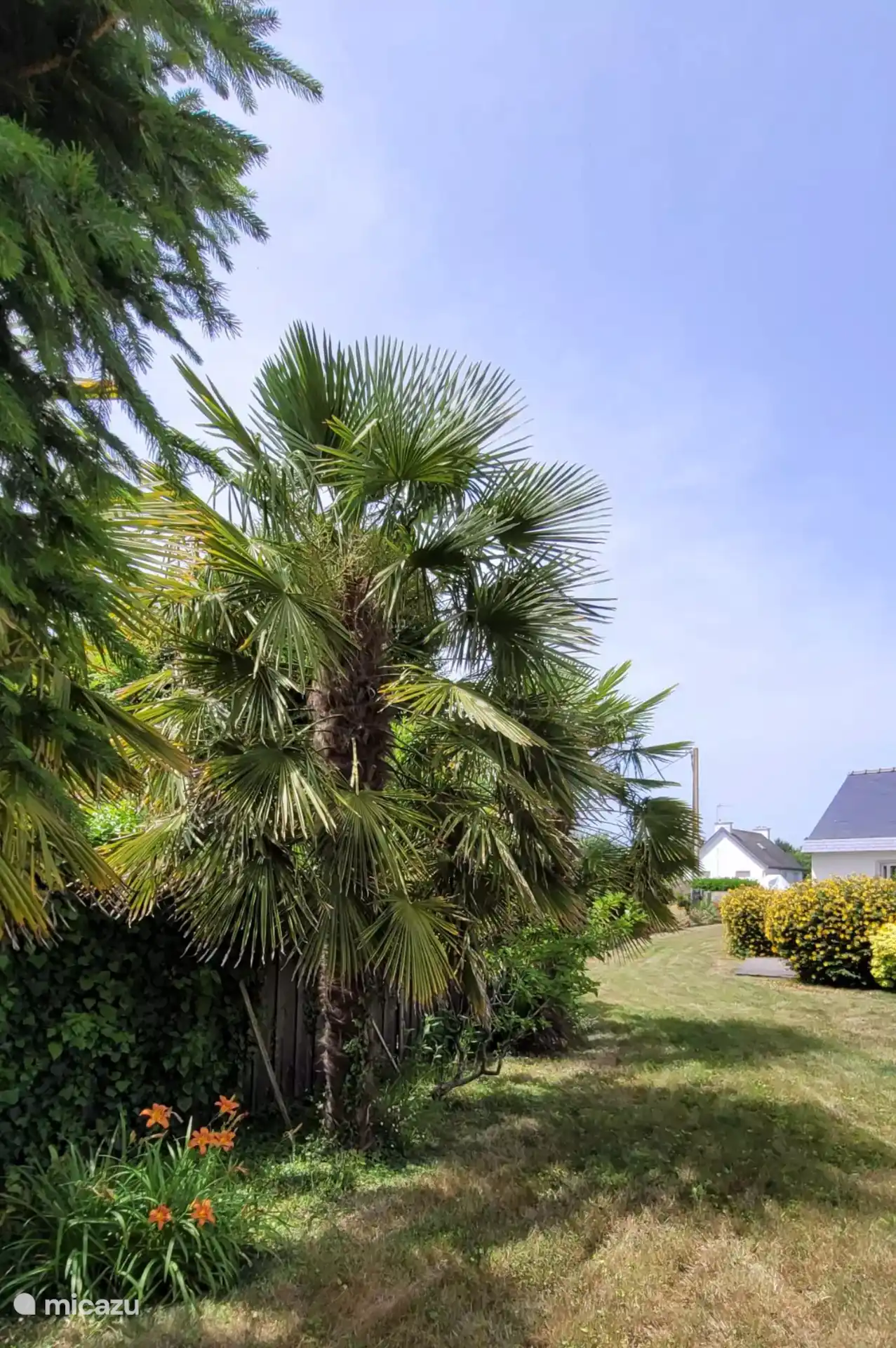 El jardín tiene suficiente espacio para los niños