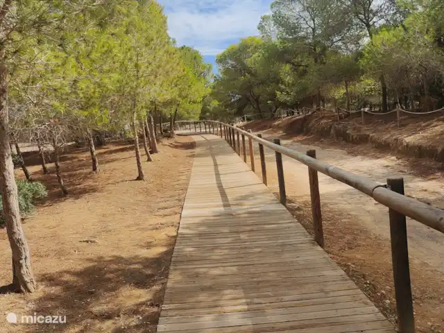 El Sueño  en España, Costa Blanca, Orihuela Costa - apartamento Salinas de Torrevieja y La Mata