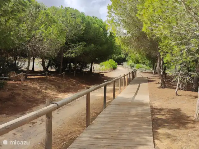 El Sueño  en España, Costa Blanca, Orihuela Costa - apartamento Salinas de Torrevieja y La Mata