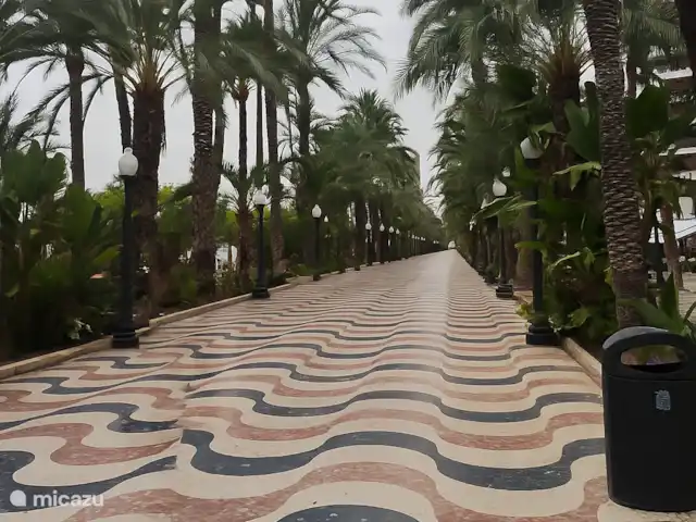 El Sueño  en España, Costa Blanca, Orihuela Costa - apartamento Paseo Marítimo de Alicante