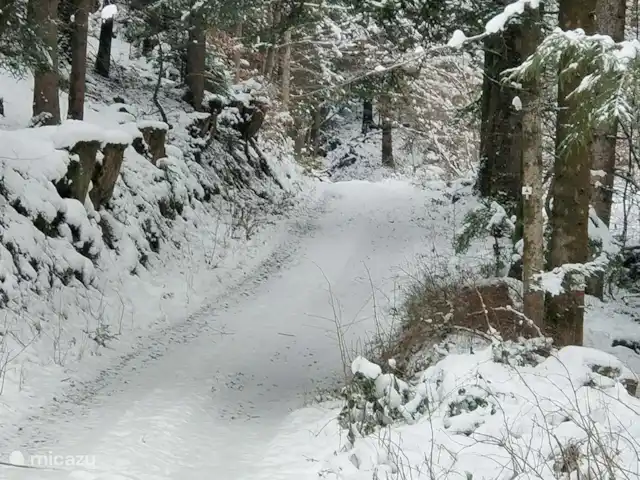 Au bord du Bleu | France, Vosges, Lubine - maison de vacances